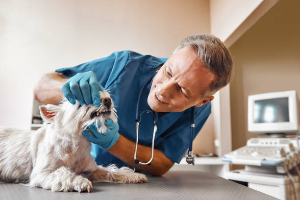 Best Weekend Emergency Dentist in Clay, KY